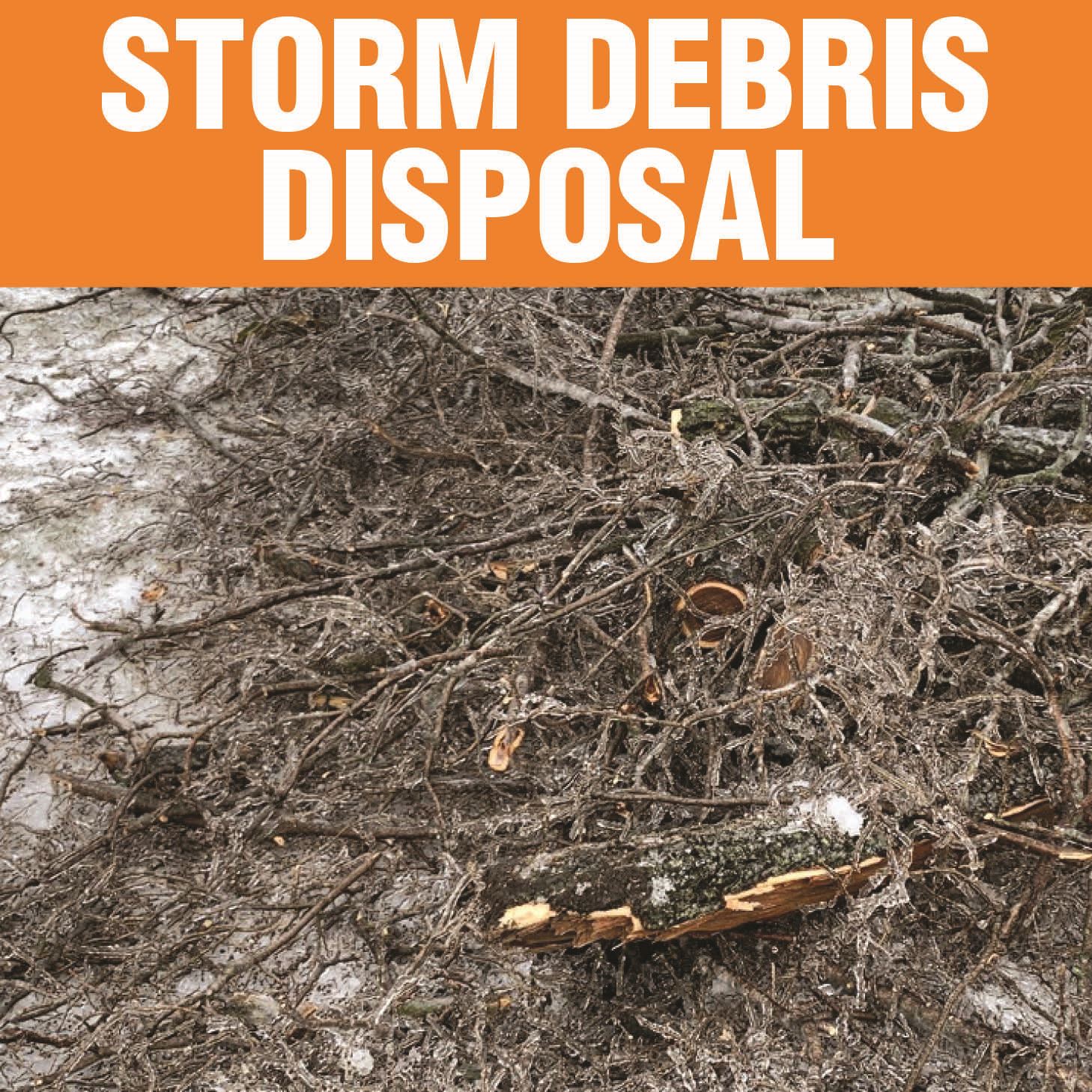 Ice Storm Debris