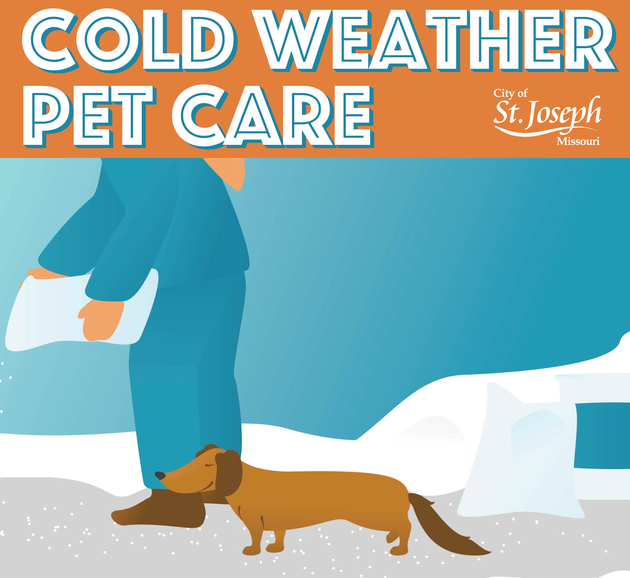 Cold Weather Pet Care